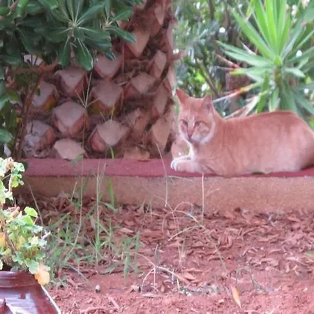 Apart-hotel Alpha 2*